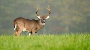 I Stock 000024946395 Full 181004 112148