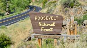 I Stock 000026102403 Small