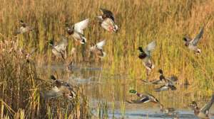 I Stock 000033493322 Small