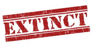 I Stock 000044600890 Small