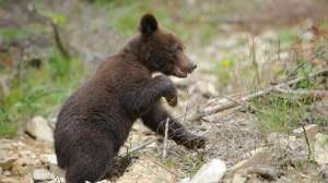 I Stock 000073137659 Small