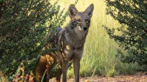 I Stock 000077657261 Small