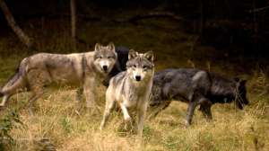 I Stock 31835794 SMALL 181004 101444