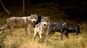 I Stock 31835794 SMALL 181004 101509