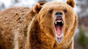 I Stock 38130722 SMALL