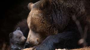 I Stock 38266952 SMALL