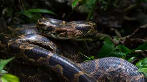 I Stock 47146198 SMALL