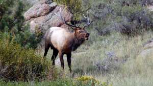 I Stock 60625478 LARGE