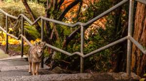 I Stock 85725549 SMALL