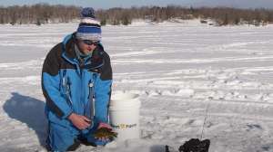Ice fish with sunfish