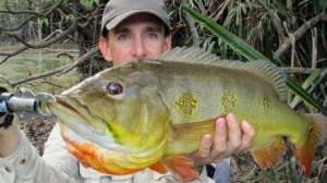 Igfa records april 2010 181004 084742