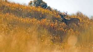 John hafner archive 03550