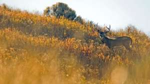 John hafner archive 03550 181004 114338