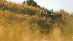 John hafner archive 03558