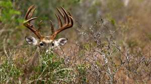 John hafner archive 03582 181203 143349