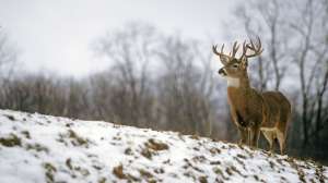 John hafner archive 03745 181003 155009