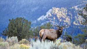 John hafner archive 03878