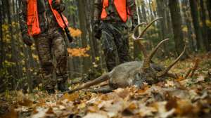 John hafner archive 06531 181003 160302