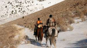 John hafner archive 07105