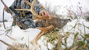 John hafner archive 08330