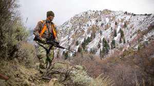 John hafner archive 09248