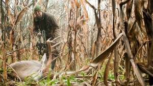 John hafner archive 09291 1