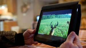 John hafner archive 10414 1