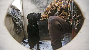 John hafner archive 15799