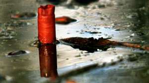 John hafner archive 15855