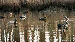 John hafner archive 15886 181003 162132