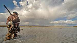 John hafner archive 15923