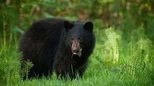 John hafner archive 20001