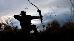 John hafner archive 20733