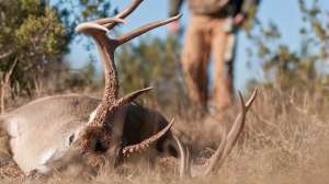 John hafner archive 21621 181203 143124