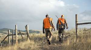 John hafner archive 22083