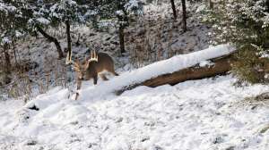 John hafner archive 22737