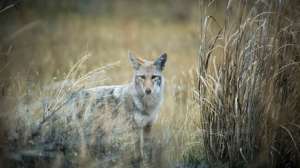 John hafner archive 30085 181003 160022