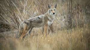 John hafner archive 30086