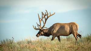 John hafner archive 30224