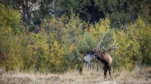 John hafner archive 30606