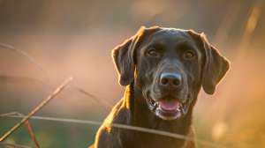 John hafner archive 33368 181003 155420