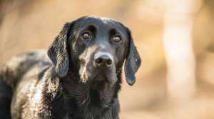 John hafner archive 33583