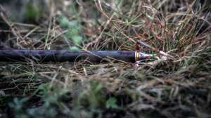 John hafner archive 33804