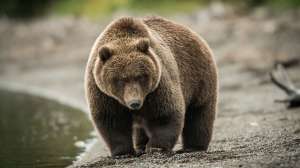 John hafner archive 42543