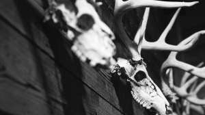 John hafner 02575 2 181003 161328