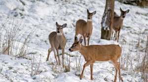 John hafner 523 181003 161801