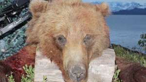 Jonibrownbear700 181003 162054