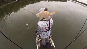 Kayak angler with kitten lead pic