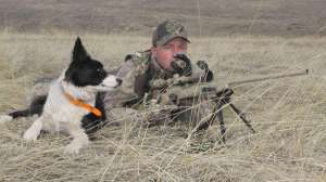 Kayser calling while sage watches for coyotes700 181003 161514