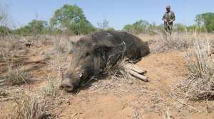 Kayserspringbreak700 181003 155505